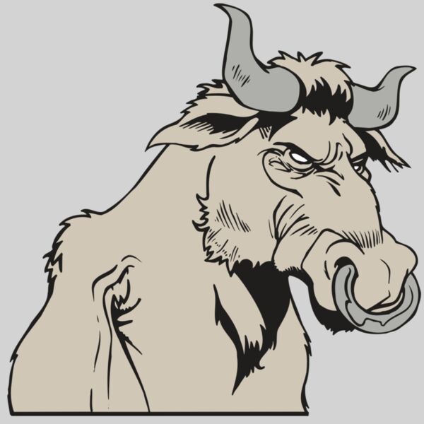 AR5 BULL 08 RQC Thumbnail