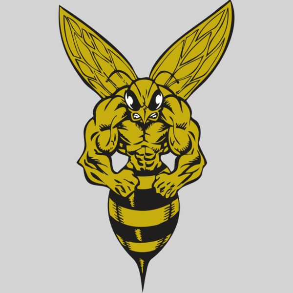 BAW BEE 06 RC Thumbnail