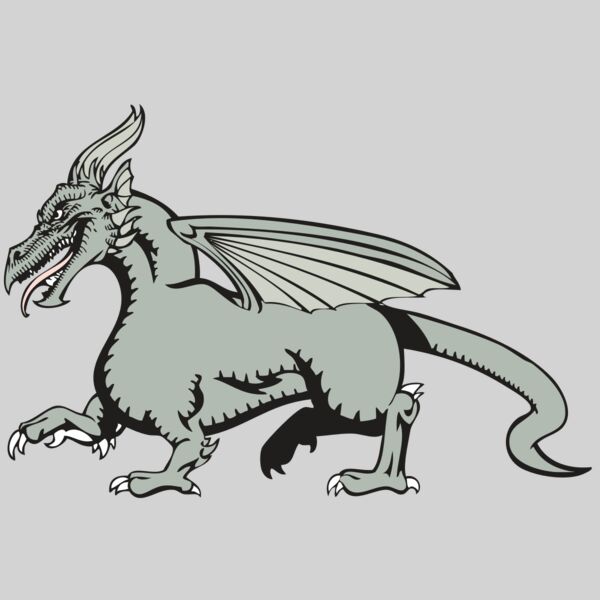 BAW DRAGON 20 RC Thumbnail