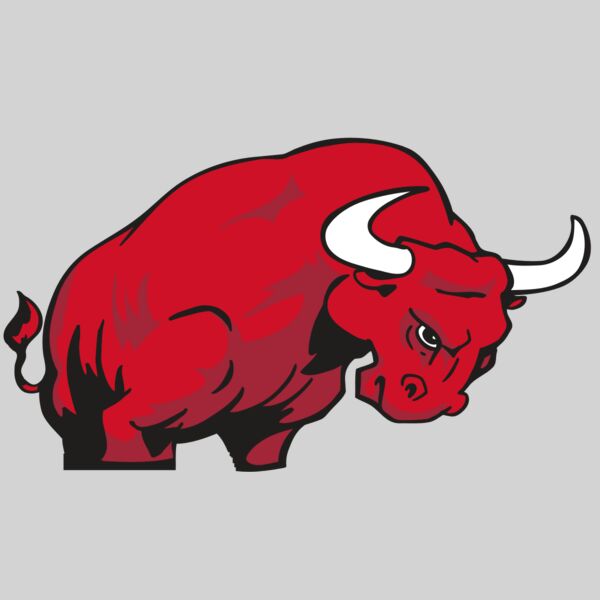 AR BULL 12 RC Thumbnail