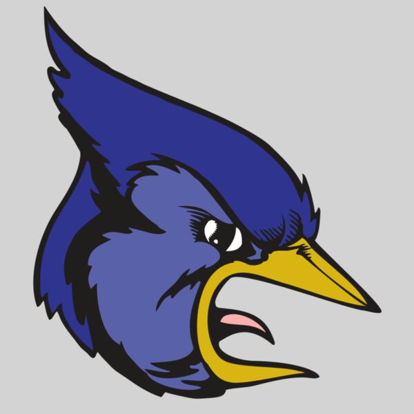 BAW BLUEJAY 04 RC Thumbnail