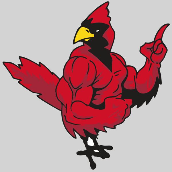 AR CARDINAL 27 RC Thumbnail