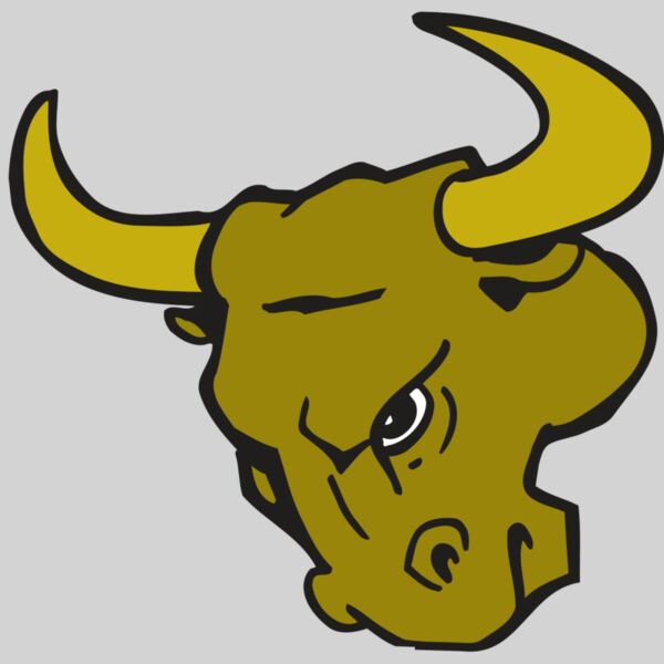 AR BULL 26 RC Thumbnail