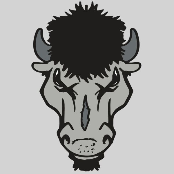 AR BUFFALO 15 RC Thumbnail