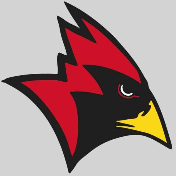 AR CARDINAL 23 RC Thumbnail