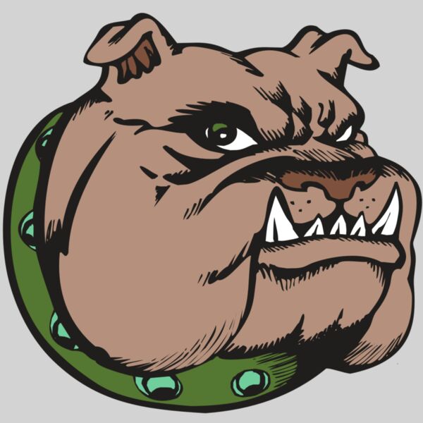 BAW BULLDOG 14 RC Thumbnail