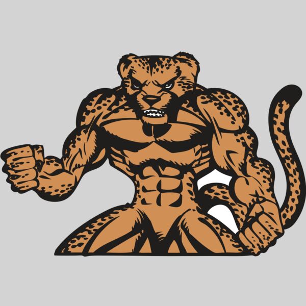 BAW CHEETAH 07 RC Thumbnail