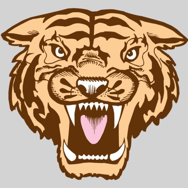 BAW TIGER 05 RC Thumbnail