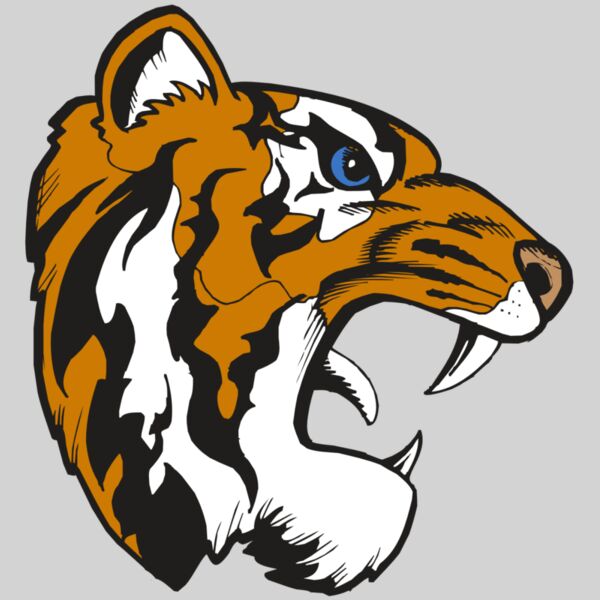 BAW TIGER 08 RC Thumbnail