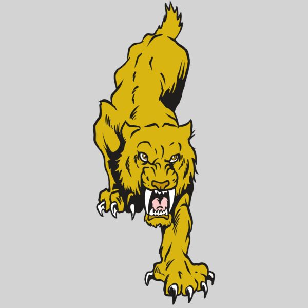 AR30 SABER 08 RQC Thumbnail