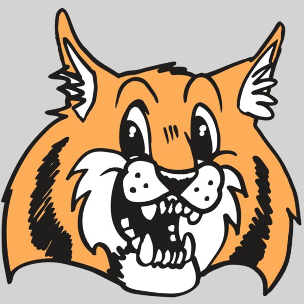 AR WILDCAT 13 RC Thumbnail