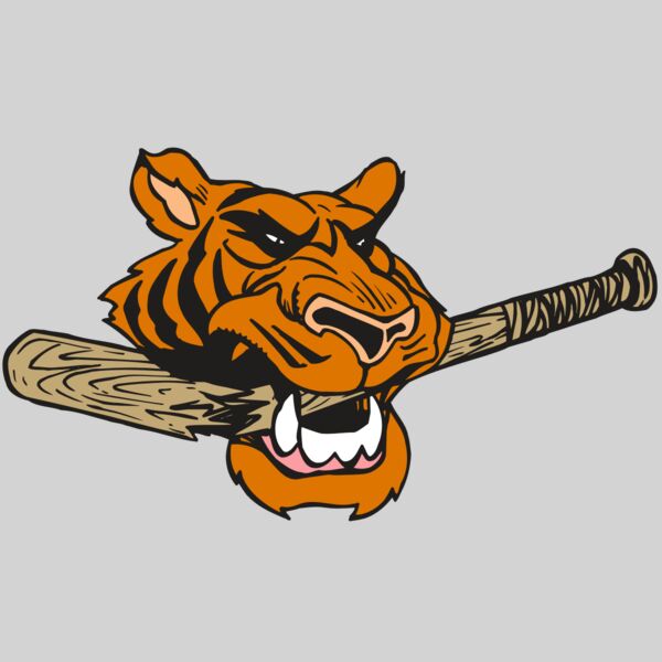 AR5 Tiger 11 RQC Thumbnail