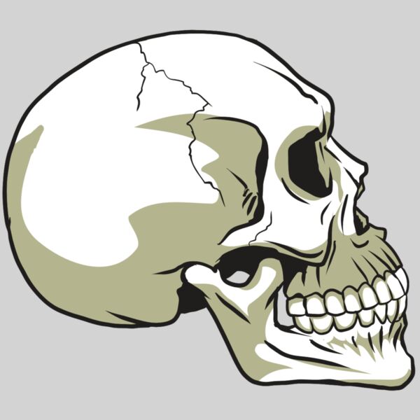 AR24 SKULL 12 RQC Thumbnail