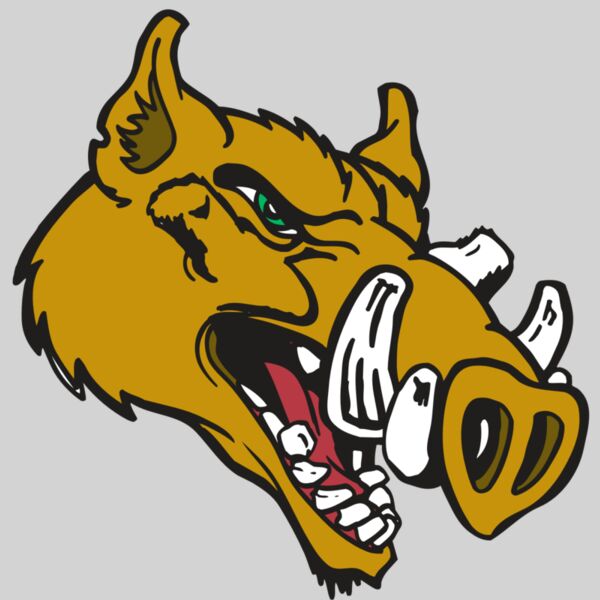 AR RAZORBACK 17 RC Thumbnail