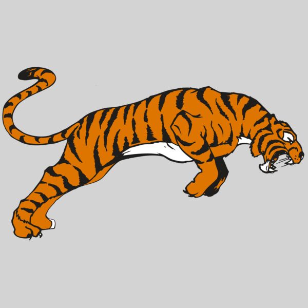 AR TIGER 79 RC Thumbnail