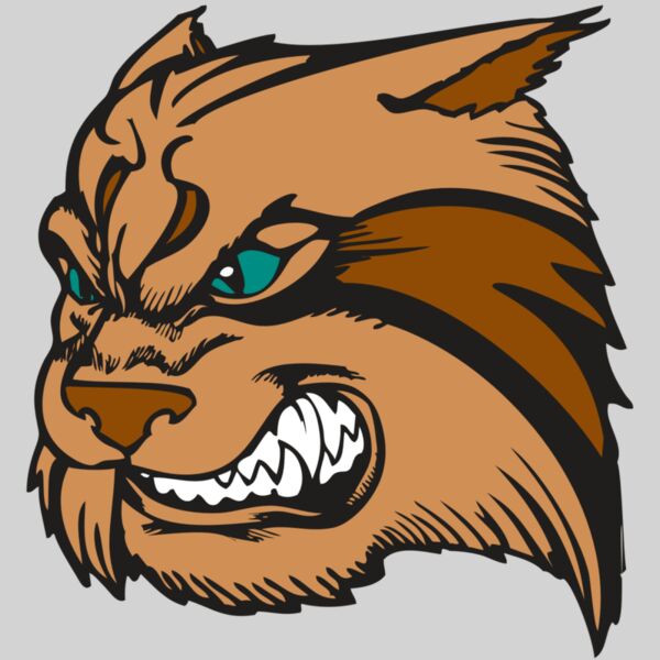 BAW WILDCAT 05 RC Thumbnail