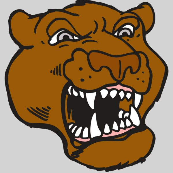 AR5 COUGAR 29 RQC Thumbnail