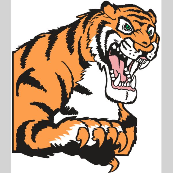 AR TIGER 10 RC Thumbnail