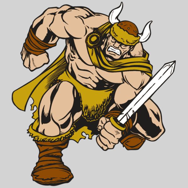 AR VIKING 35 RC Thumbnail