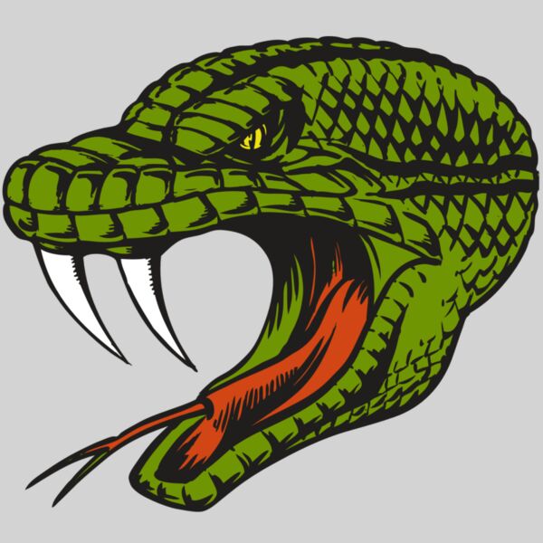 BAW SNAKE 14 RC Thumbnail