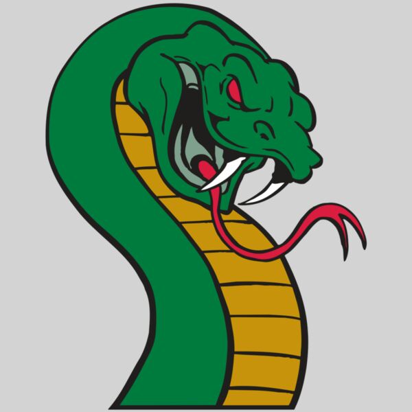 AR SNAKE 12 RC Thumbnail