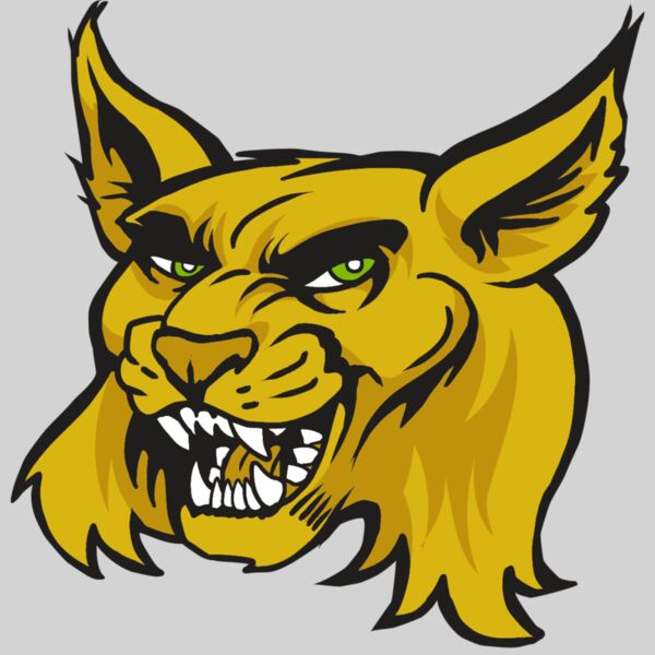 AR30 WILDCAT 03 RQC Thumbnail