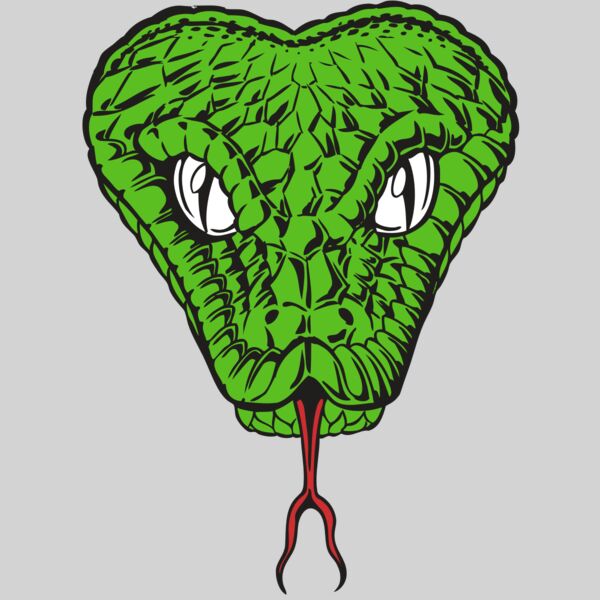 BAW SNAKE 08 RC Thumbnail