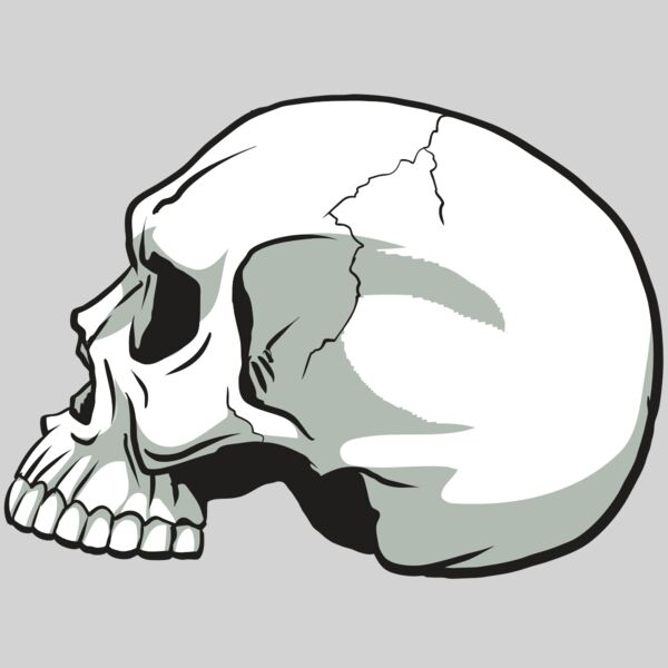 AR24 SKULL 11 RQC Thumbnail