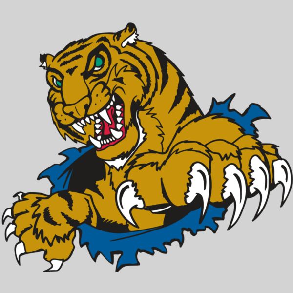 AR TIGER 69 RC Thumbnail