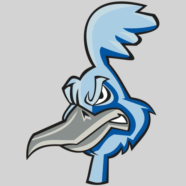 ROADRUNNER HD0501 RQC Thumbnail