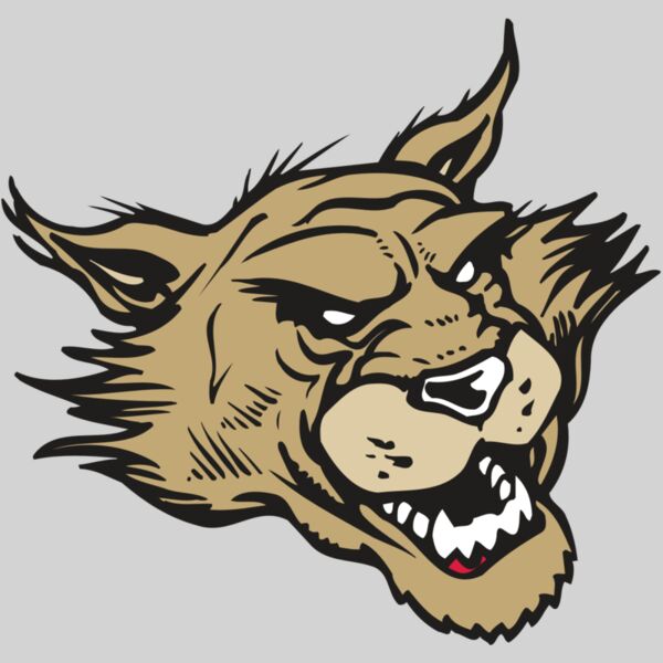 AR WILDCAT 39 RC Thumbnail