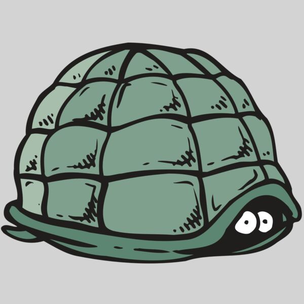 AR5 Turtle 10 RQC Thumbnail