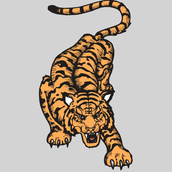 BAW TIGER 01 RC Thumbnail