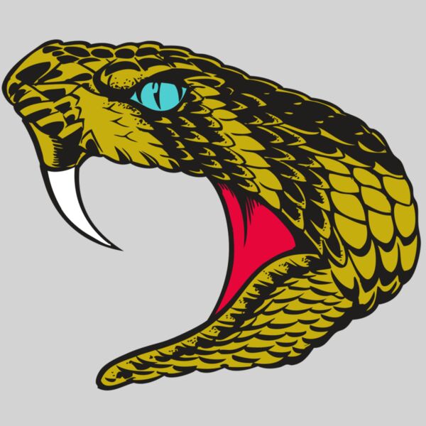 BAW SNAKE 16 RC Thumbnail