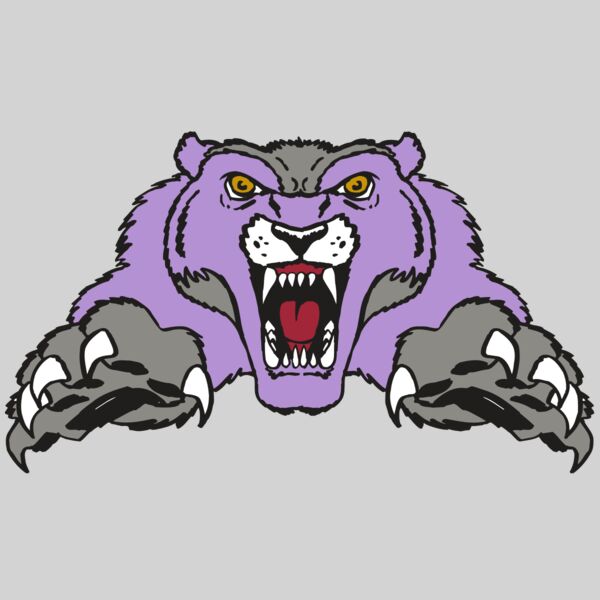 AR WOLVERINE 17 RC Thumbnail