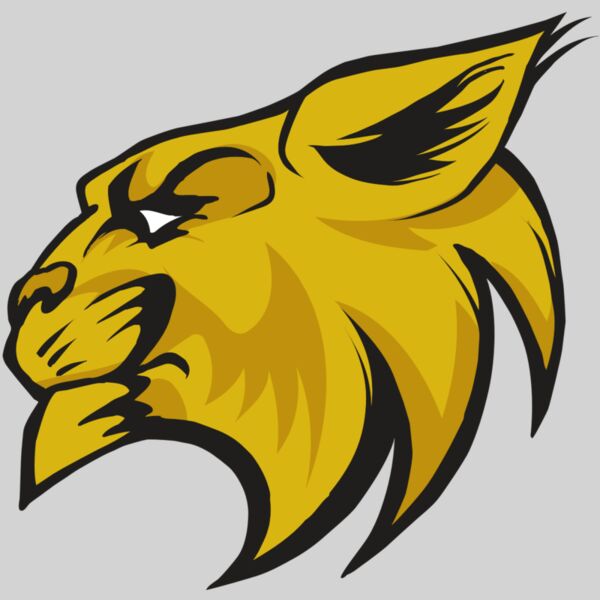 AR30 WILDCAT 02 RQC Thumbnail