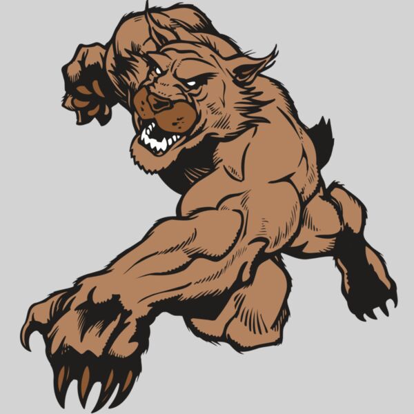 AR WILDCAT 47 RC Thumbnail