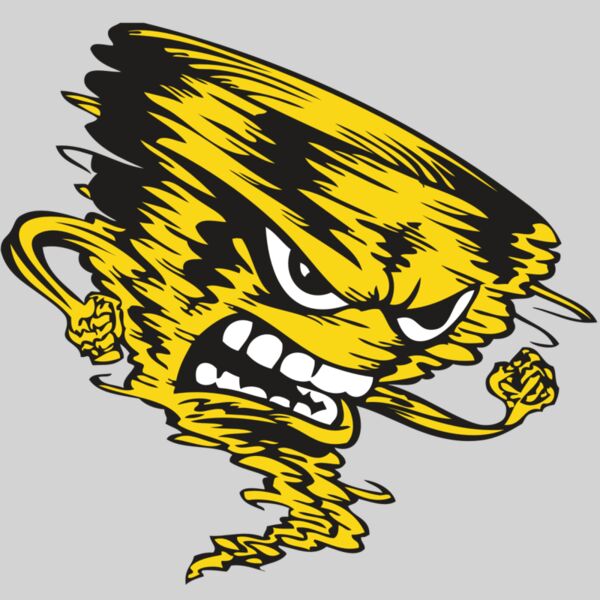 BAW STORM 08 RC Thumbnail