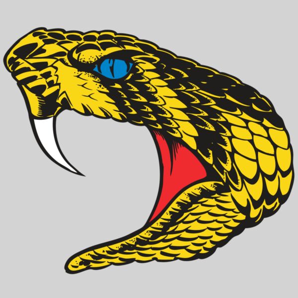 BAW SNAKE 06 RC Thumbnail