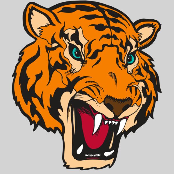 BAW TIGER 12 RC Thumbnail