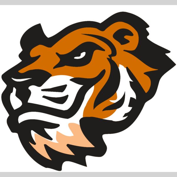 AR TIGER 21 RC Thumbnail