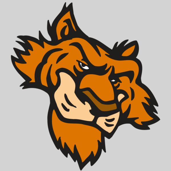 AR5 Tiger 16 RQC Thumbnail