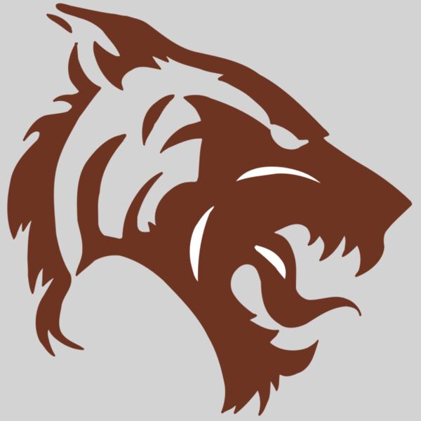 AR5 TIGER 06 RQC Thumbnail