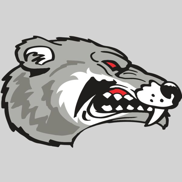 AR WOLVERINE 13 RC Thumbnail