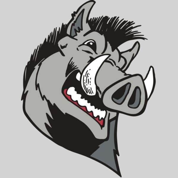 AR RAZORBACK 15 RC Thumbnail