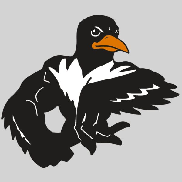 AR ORIOLE 22 RC Thumbnail