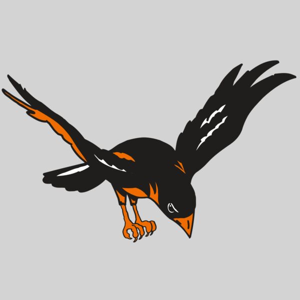 AR ORIOLE 16 RC Thumbnail