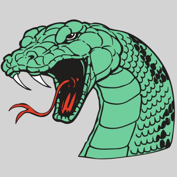 AR SNAKE 10 RC Thumbnail