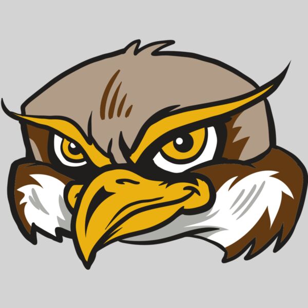 AR12 OWL 02 RQC Thumbnail