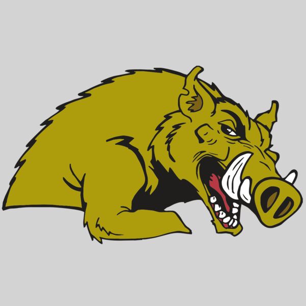 AR RAZORBACK 23 RC Thumbnail